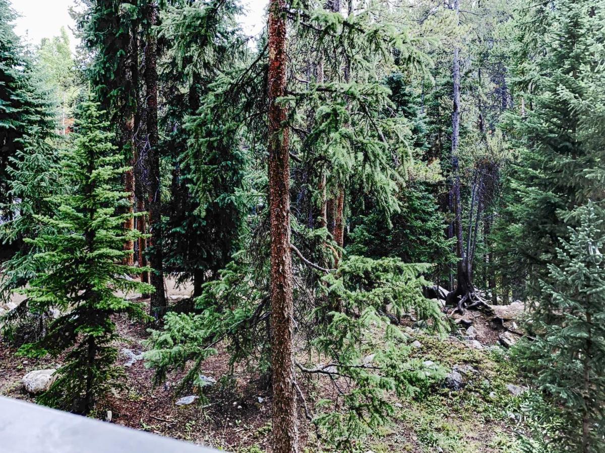 Powderhorn C202 Condo Breckenridge Bagian luar foto
